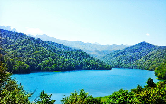Daxili turlar